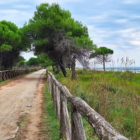 Seaside Serenity In Our 1 Bedroom Bibione